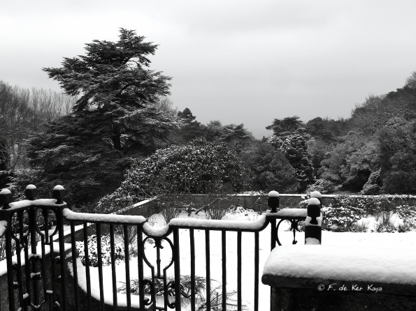 Bois des Moutiers Winterreise (52)